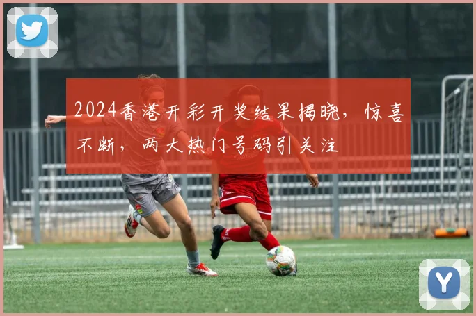 2024香港开彩开奖结果揭晓，惊喜不断，两大热门号码引关注
