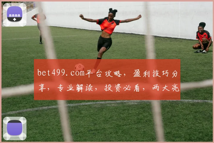 bet499.com平台攻略，盈利技巧分享，专业解读，投资必看，两大亮点揭秘